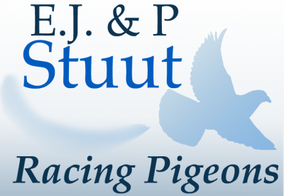 peterstuut5%20copy(1).png