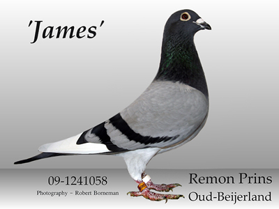 james.jpg
